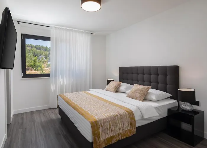 9 فيلة بودْسْتغانا